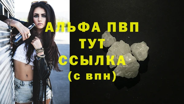 стаф Чита