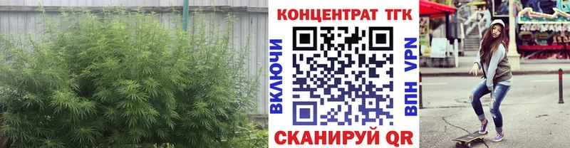 ТГК жижа  где можно купить наркотик  Ветлуга 